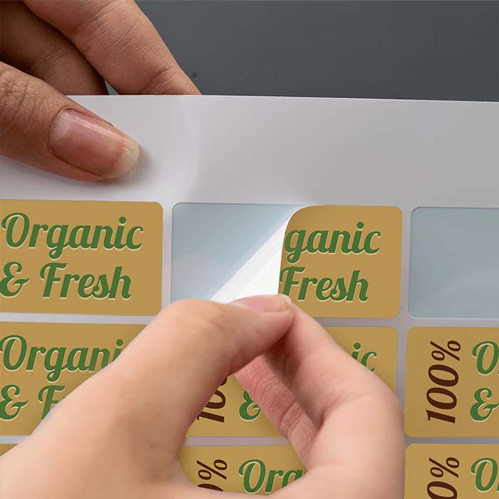 Everything You Need To Know About A Sticker Printing Service!